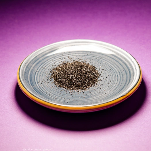 Charbon végétal Actif - 100g - poudre Visuel 1 principal